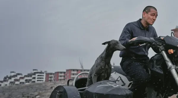 Black Dog