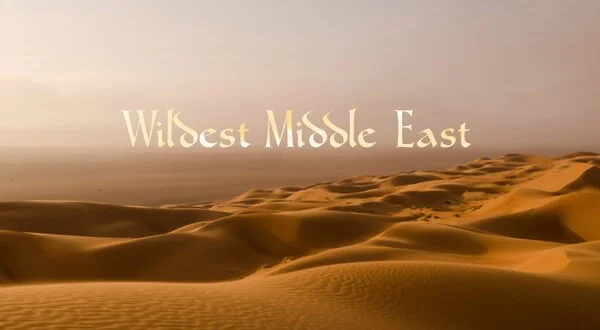 Wildest Middle East