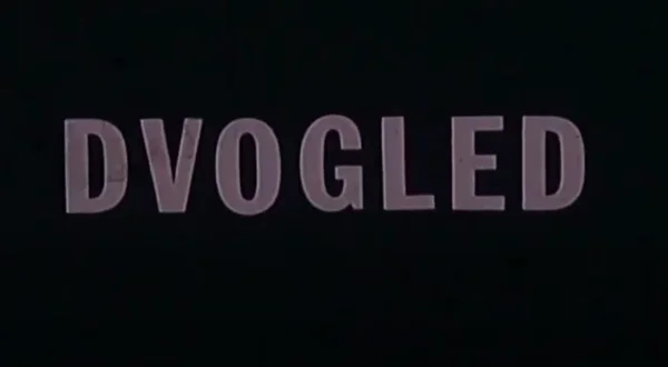 Dvogled