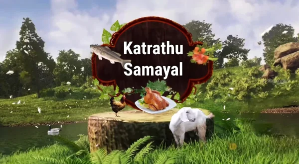 கற்றது சமையல்