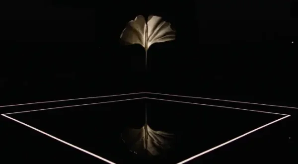 Catwalks