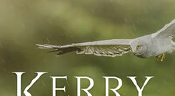 Kerry: Tides of Time