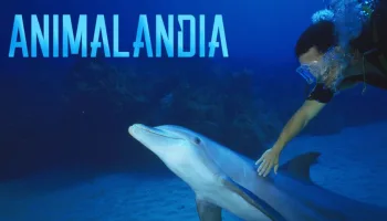 Animalandia