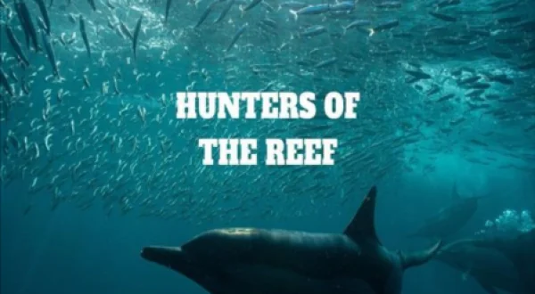 Hunters of the Reef