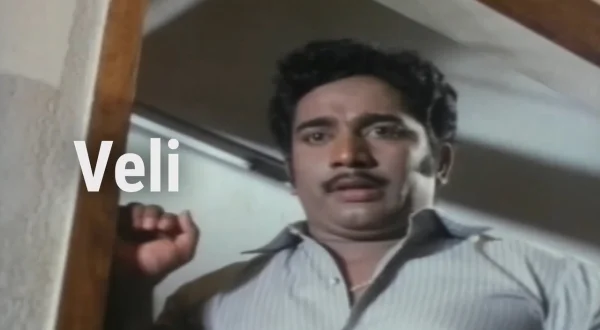 வேலி