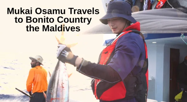 Mukai Osamu Travels to Bonito Country the Maldives