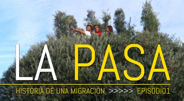 La Pasa Del Zorzal, Historia De Una Migración I
