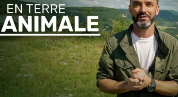 En Terre Animale