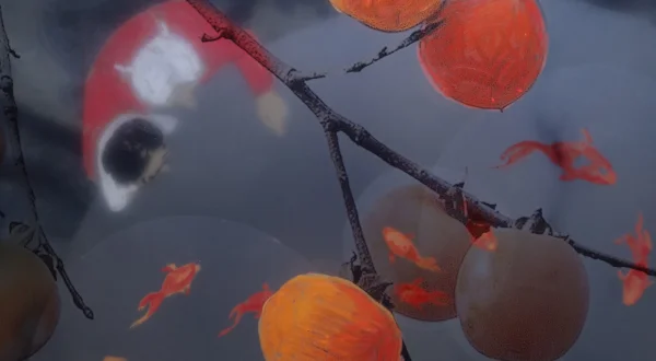 Noon, le pain de Téhéran