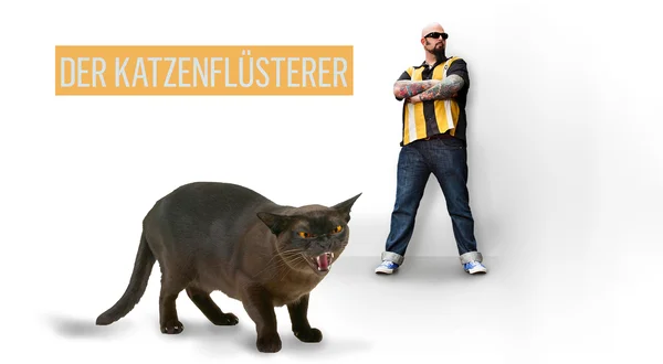 Der Katzenflüsterer