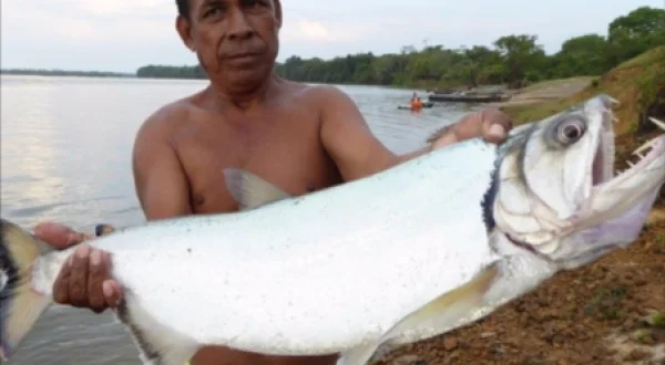 De Viagem: Na Bacia Amazónica Boliviana