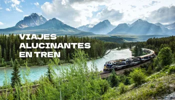 Viajes alucinantes en tren
