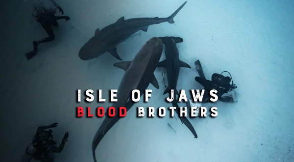 Isle Of Jaws: Blood Brothers
