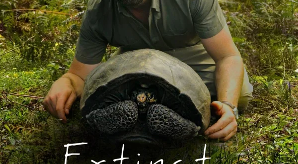 Extinct or Alive