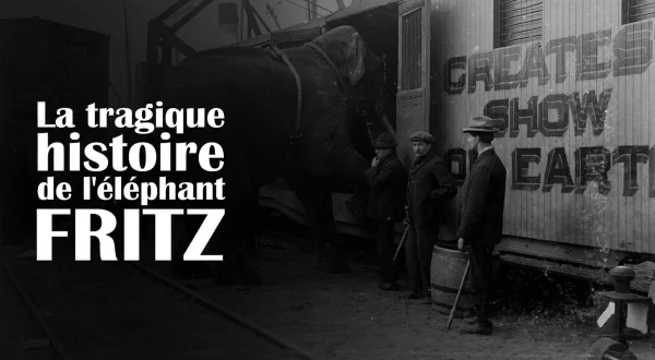 La tragique histoire de Fritz l'éléphant