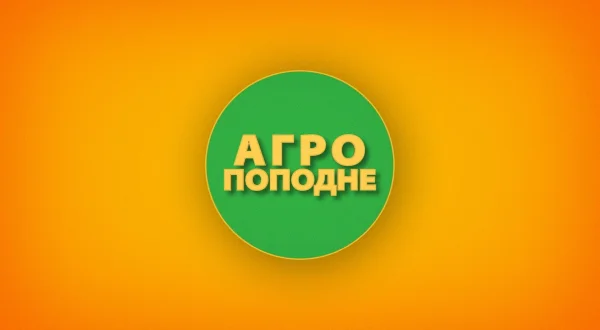 Agro popodne