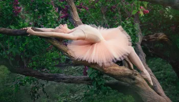 De Paris à New York en passant par Milan, les plus grands défilés et les plus beaux mannequins