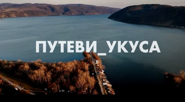 Putevi ukusa