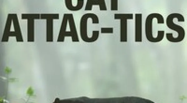 Cat Attac-Tics