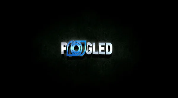 Pogled
