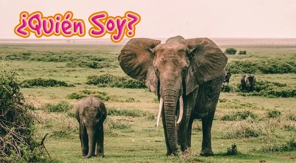 ¿Quién soy?
