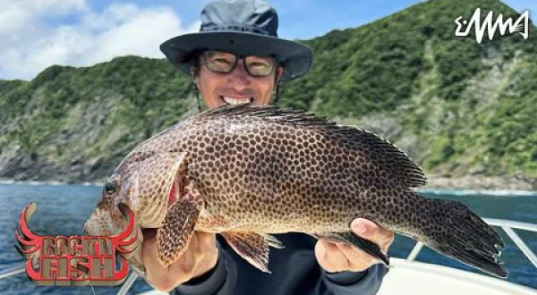 Rock'n Fish 100 高知ボートゲーム
