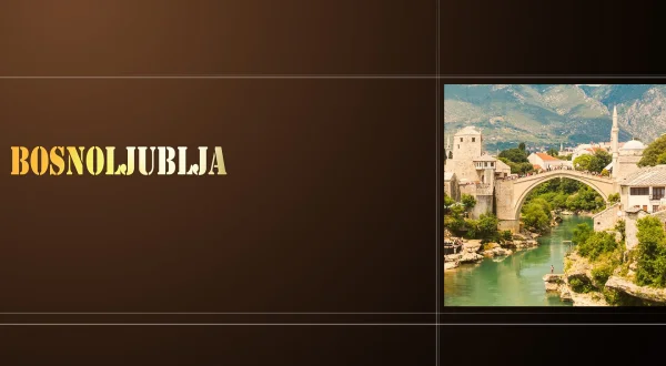 Priče iz Bosnoljublja