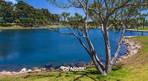 Go North!