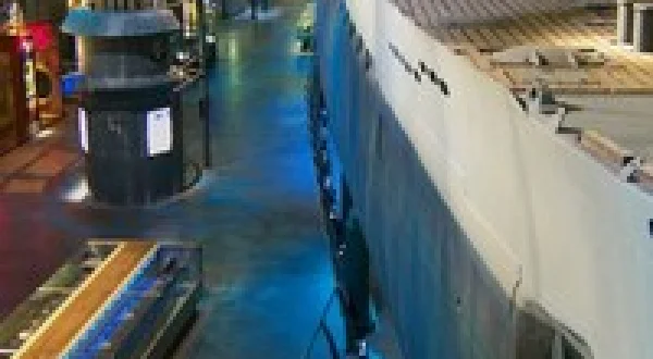 Attack and Capture: The Story of U-Boat 505