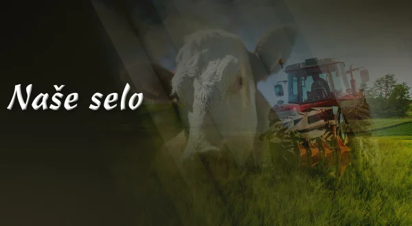 Naše selo
