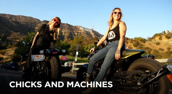 Chicks and Machines