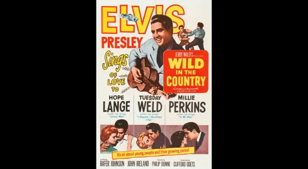 Wild in the Country
