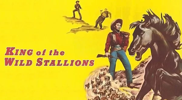 King of the Wild Stallions