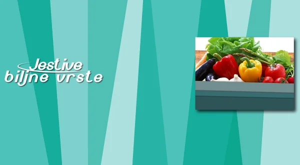 Jestive biljne vrste