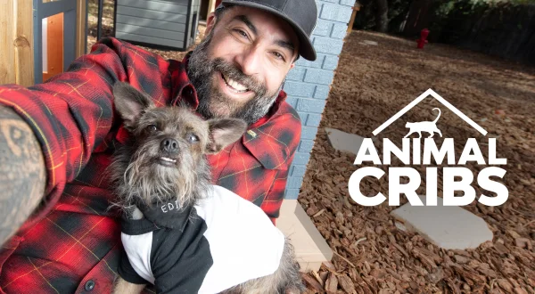 Animal Cribs