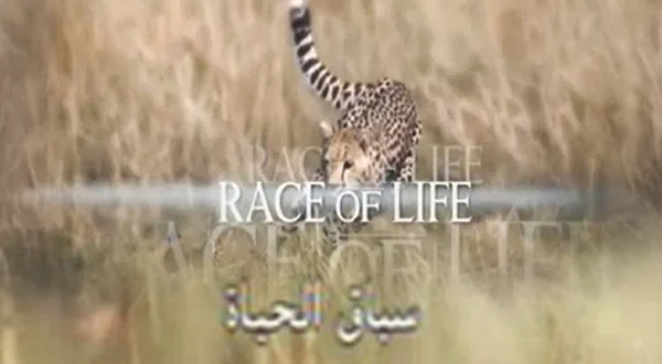 سباق الحياة