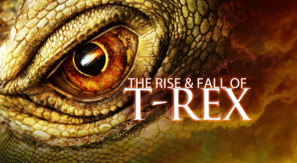 The Rise & Fall of T-Rex