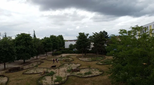 La civilisation des arbres