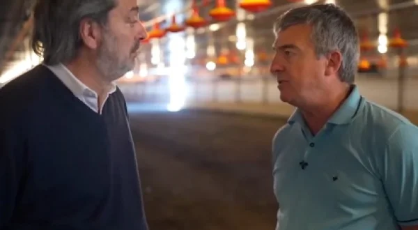 Cátedra avícola y agropecuaria