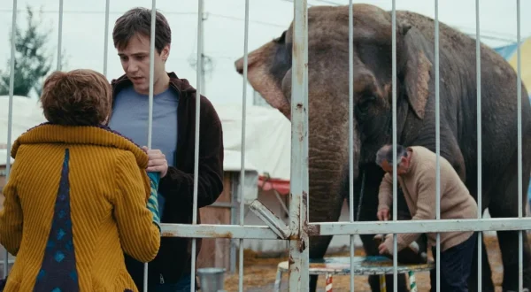 Elephant