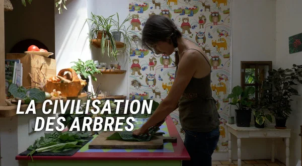 La civilisation des arbres