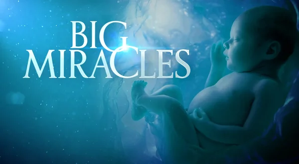 Big Miracles