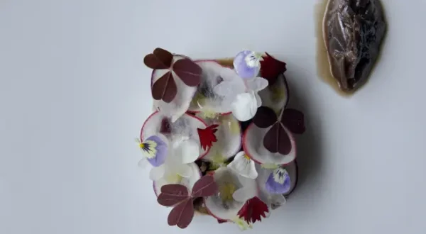 Planète chefs