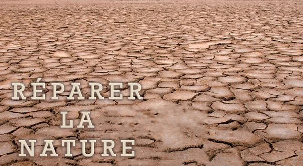 Réparer la nature