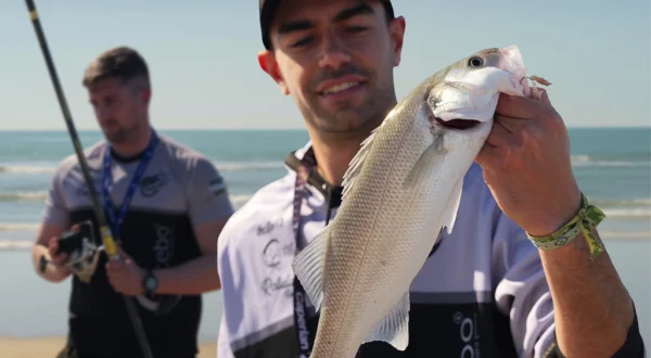 Surfcasting desde el portil y a ras de água