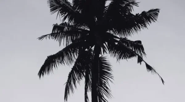 Hiro'a tumu : patrimoine