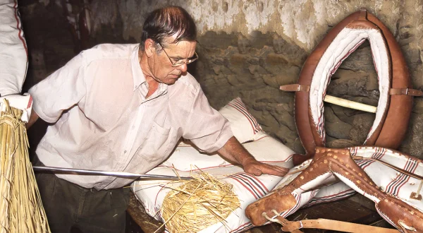 Albardas y colleras para burros y caballos. Elaboración manual de estos aperos campestres con paja