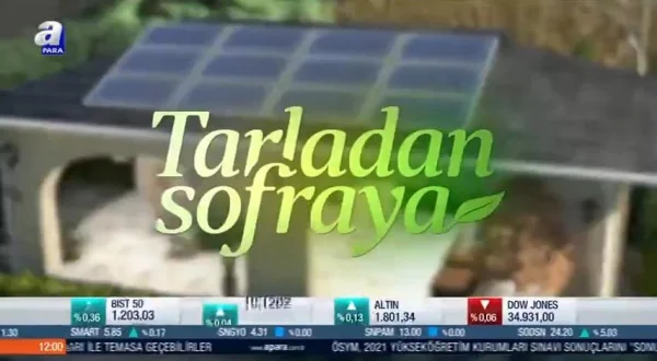 Tarladan Sofraya