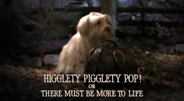 Higglety Pigglety Pop! or There Must Be More to Life