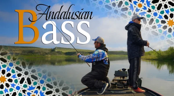 Andalusian bass